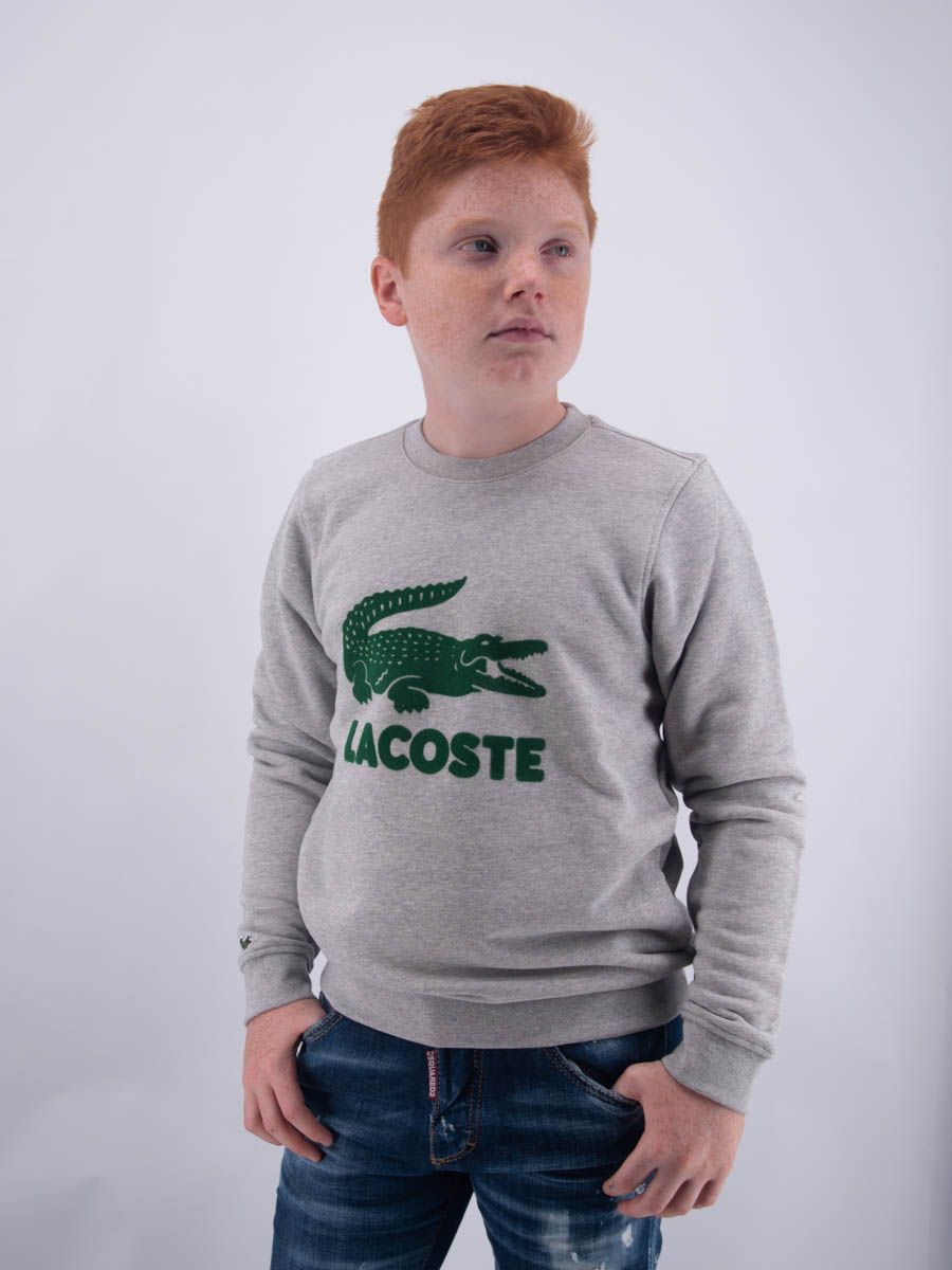 FELPA LACOSTE GIROCOLLO UNISEX MAXILOGO